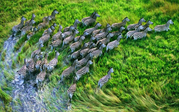 Скачайте ностальгические обои из Windows XP, Android 3 и других старых популярных ОС