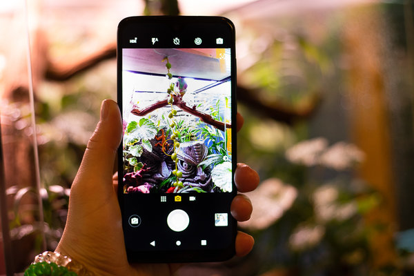 Яркое знакомство: в России представили Moto G7 Plus