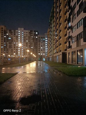 Носорог без рога: знакомимся с OPPO Reno Z — Камеры и фотовозможности. 23