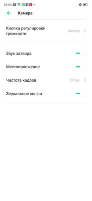 Носорог без рога: знакомимся с OPPO Reno Z — Камеры и фотовозможности. 43
