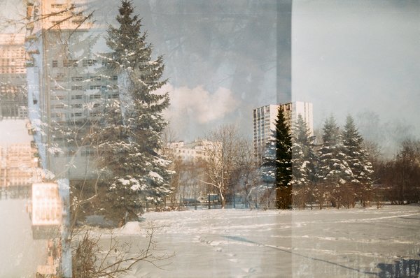Как и зачем фотографировать на пленку в 2019?
