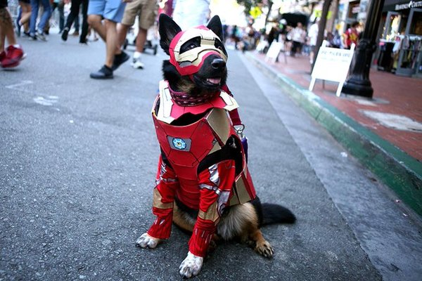 Топ-50 лучших косплеев с Comic-Con 2019