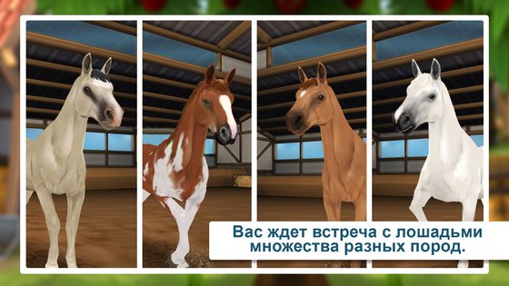 Horse Hotel 1.9.0. Скриншот 5
