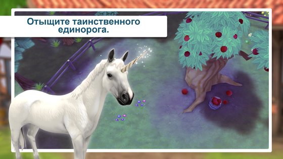 Horse Hotel 1.9.0. Скриншот 6