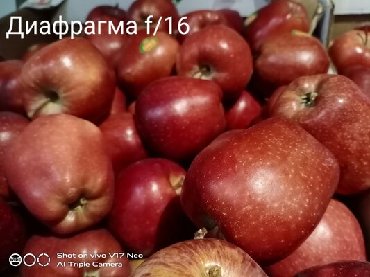 Дитя противоречий: обзор Vivo V17 Neo