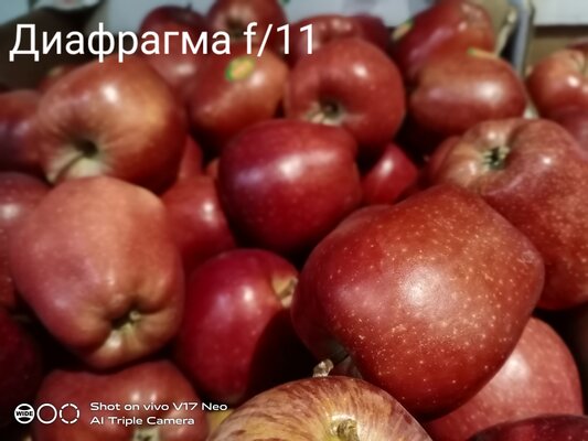 Дитя противоречий: обзор Vivo V17 Neo