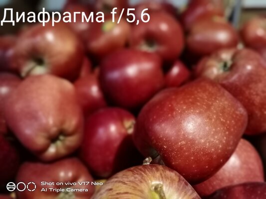 Дитя противоречий: обзор Vivo V17 Neo