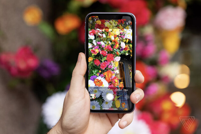 Обзор iPhone 11: самый востребованный смартфон Apple