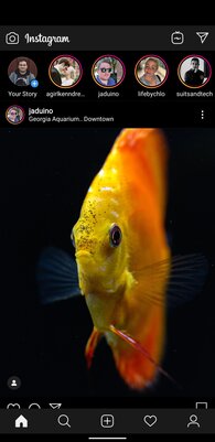 В Instagram* скоро появится официальный тёмный режим