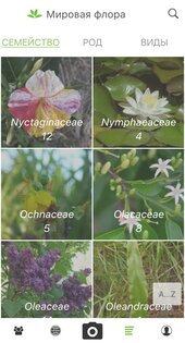 PlantNet 3.22.1. Скриншот 5