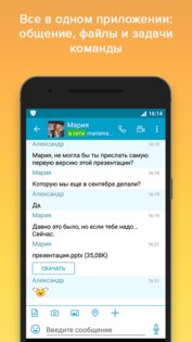 VIPole 2.1.3. Скриншот 2