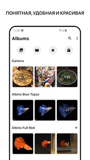 1Gallery 1.1.1-8.050725. Скриншот 1