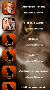 Найди кота 2 1.6.0. Скриншот 1