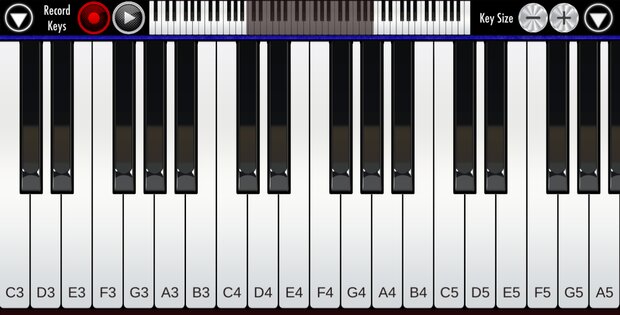 Real Piano 1.24. Скриншот 5
