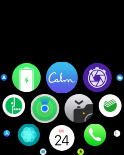 Apple Watch — лучшие умные часы. Так ли это?