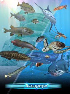 Fishing Season 1.12.14. Скриншот 19