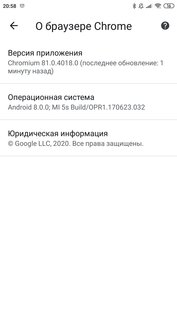 Chromium 140.0.7298.0. Скриншот 6