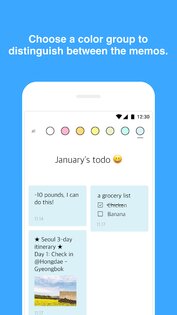 Memo Widget 5.0.63. Скриншот 3