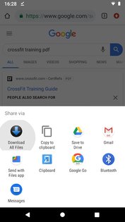 Download All Files 3.3.0. Скриншот 4