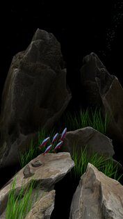 NANO AQUARIUM LWP 1.3. Скриншот 3