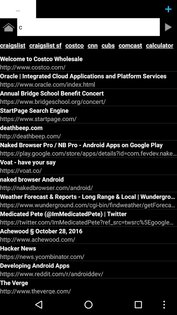 Naked Browser LTS 1.0.135. Скриншот 4