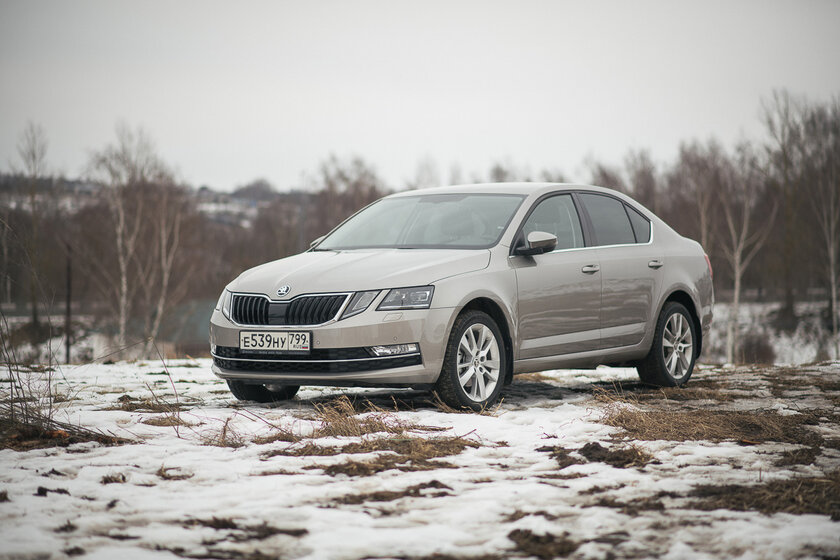 Тест-драйв Skoda Octavia '19. Номад или горожанин?