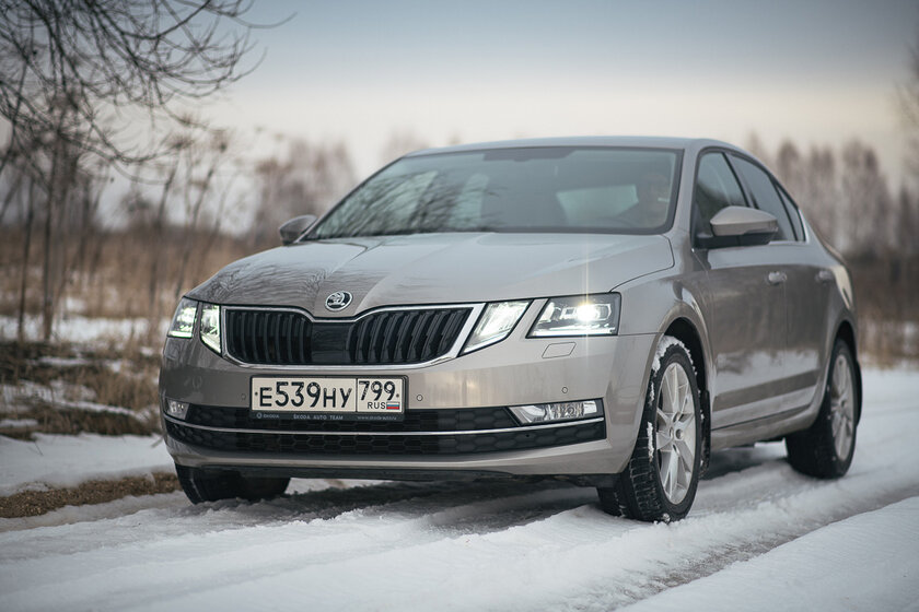 Тест-драйв Skoda Octavia '19. Номад или горожанин?