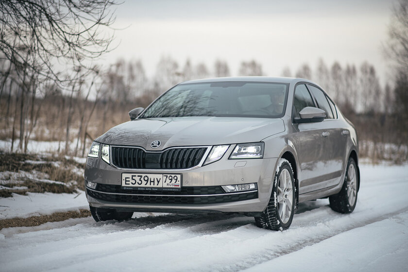 Тест-драйв Skoda Octavia '19. Номад или горожанин?