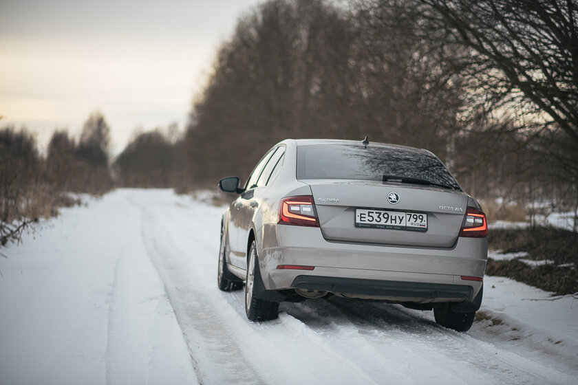 Тест-драйв Skoda Octavia '19. Номад или горожанин?