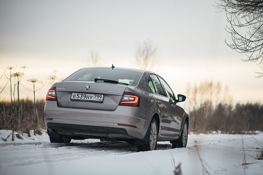 Тест-драйв Skoda Octavia '19. Номад или горожанин?