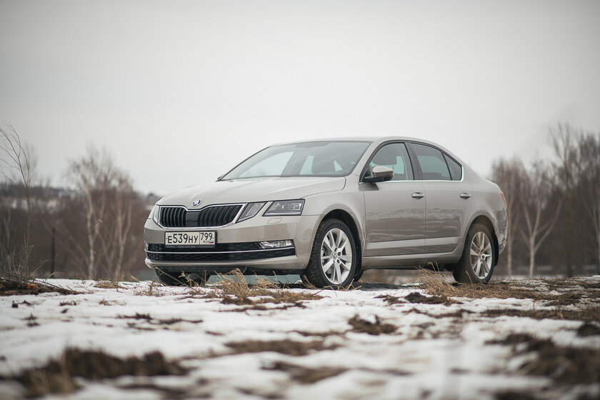 Тест-драйв Skoda Octavia '19. Номад или горожанин?