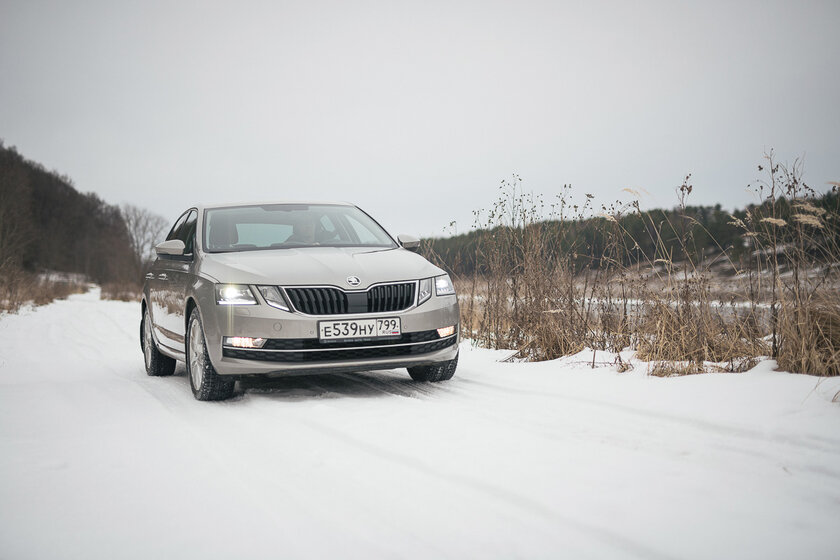 Тест-драйв Skoda Octavia '19. Номад или горожанин?