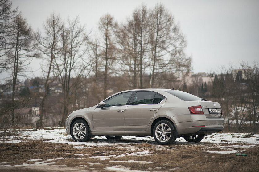 Тест-драйв Skoda Octavia '19. Номад или горожанин?