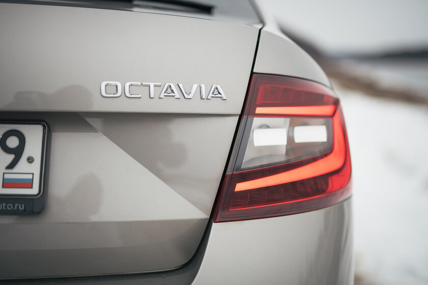Тест-драйв Skoda Octavia '19. Номад или горожанин?