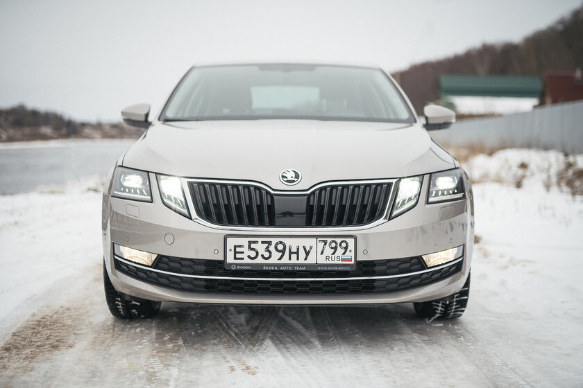 Тест-драйв Skoda Octavia '19. Номад или горожанин?
