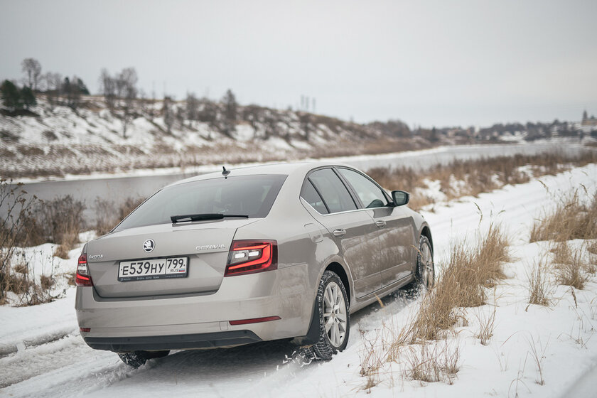 Тест-драйв Skoda Octavia '19. Номад или горожанин?