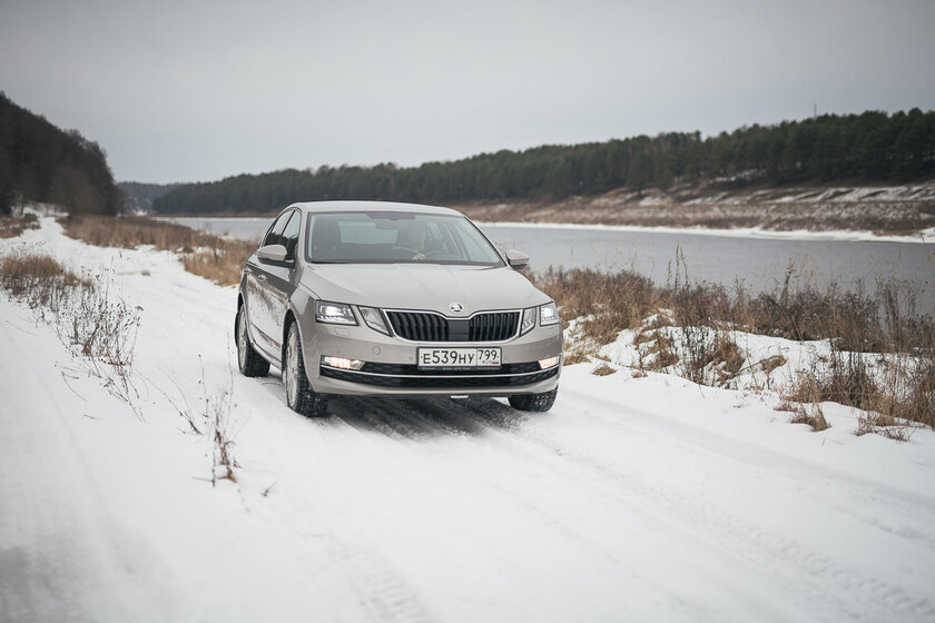 Тест-драйв Skoda Octavia '19. Номад или горожанин?