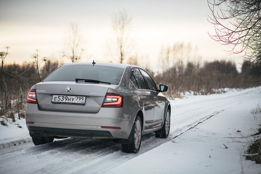 Тест-драйв Skoda Octavia '19. Номад или горожанин?