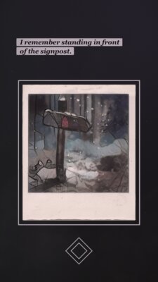 В игре MonkeyBox #1: Polarized! для прохождения нужно делать фотографии