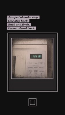 В игре MonkeyBox #1: Polarized! для прохождения нужно делать фотографии