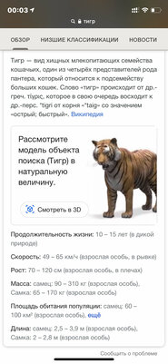 Тигр в гостиной? В поисковике Google новая фишка: как ею пользоваться