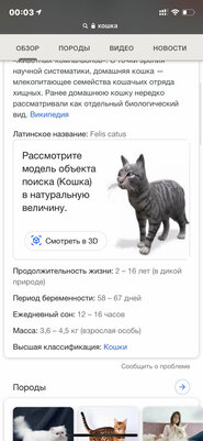 Тигр в гостиной? В поисковике Google новая фишка: как ею пользоваться