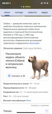 Тигр в гостиной? В поисковике Google новая фишка: как ею пользоваться