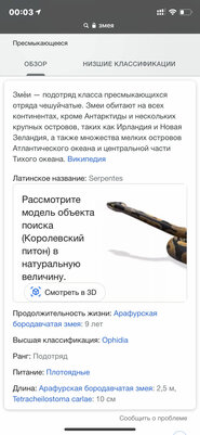 Тигр в гостиной? В поисковике Google новая фишка: как ею пользоваться