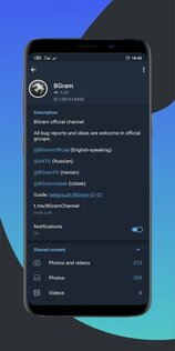 BGram 10.0.4. Скриншот 2