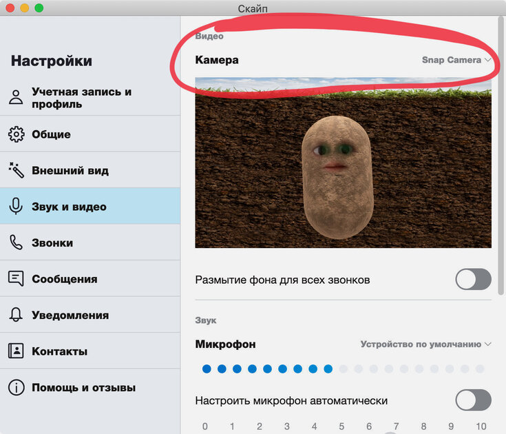 Как превратиться в картошку в Zoom, Skype, Discord и других сервисах