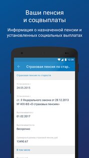 ПФР Электронные сервисы 1.2.3. Скриншот 5