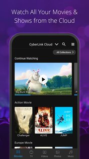 CyberLink PowerPlayer 4.6.0. Скриншот 2