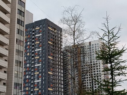 Знакомство с HONOR 9C, 9A и 9S: самовыражайся