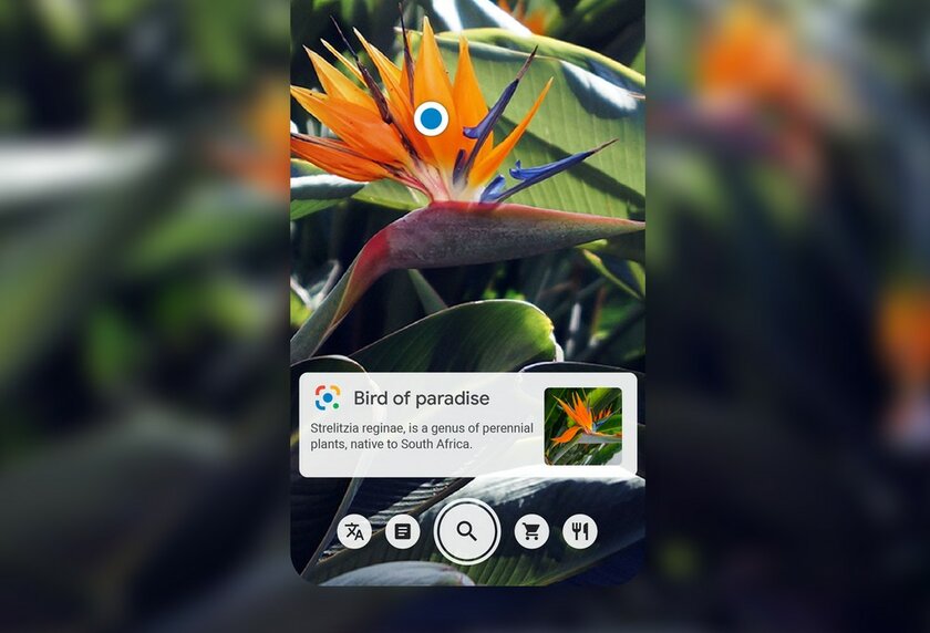 Google Lens теперь может распознавать рукописный текст и переносить его на компьютер